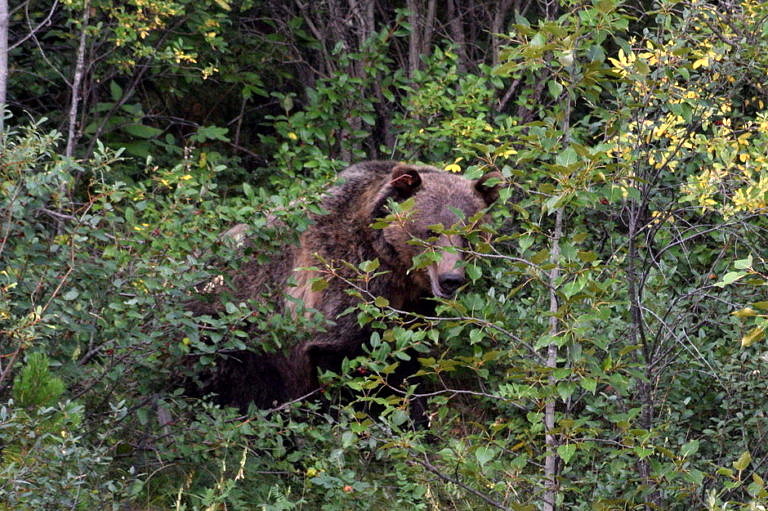 Fünfte ABBY-Net Summer School