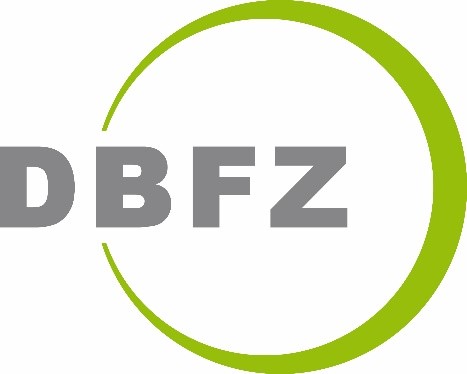 Logo DBFZ