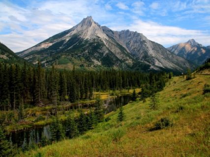 Zum Artikel "ABBY-Net Summer School 2023 in Kanada – Jetzt bewerben!"