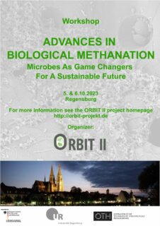 Flyer 2. ORBIT Workshop