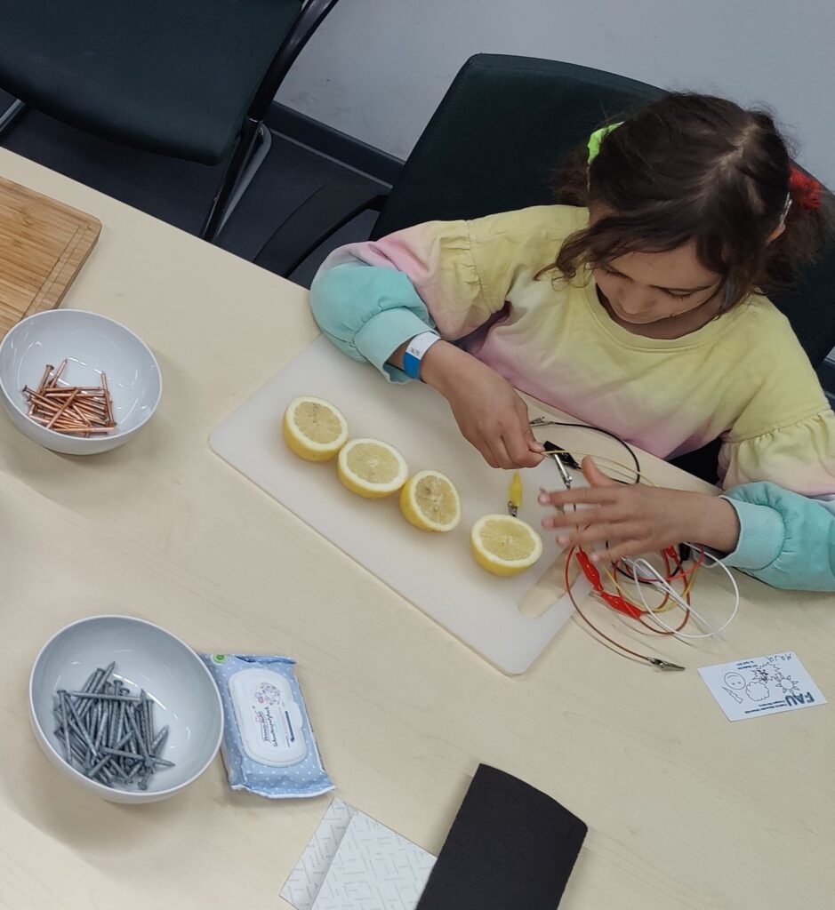Kinderuni Zitronenbatterie