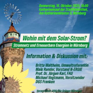 Flyer Wohin mit dem Solarstrom